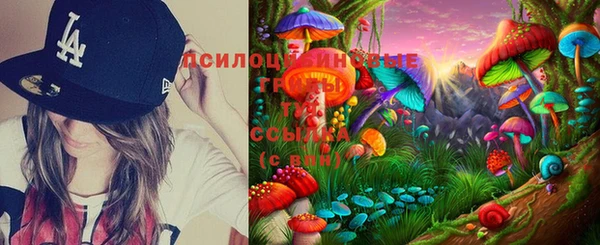 прущие крисы Алексин