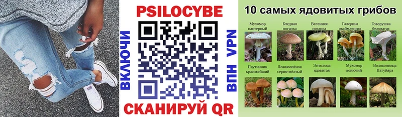 Псилоцибиновые грибы мухоморы  гидра рабочий сайт  Рыльск 